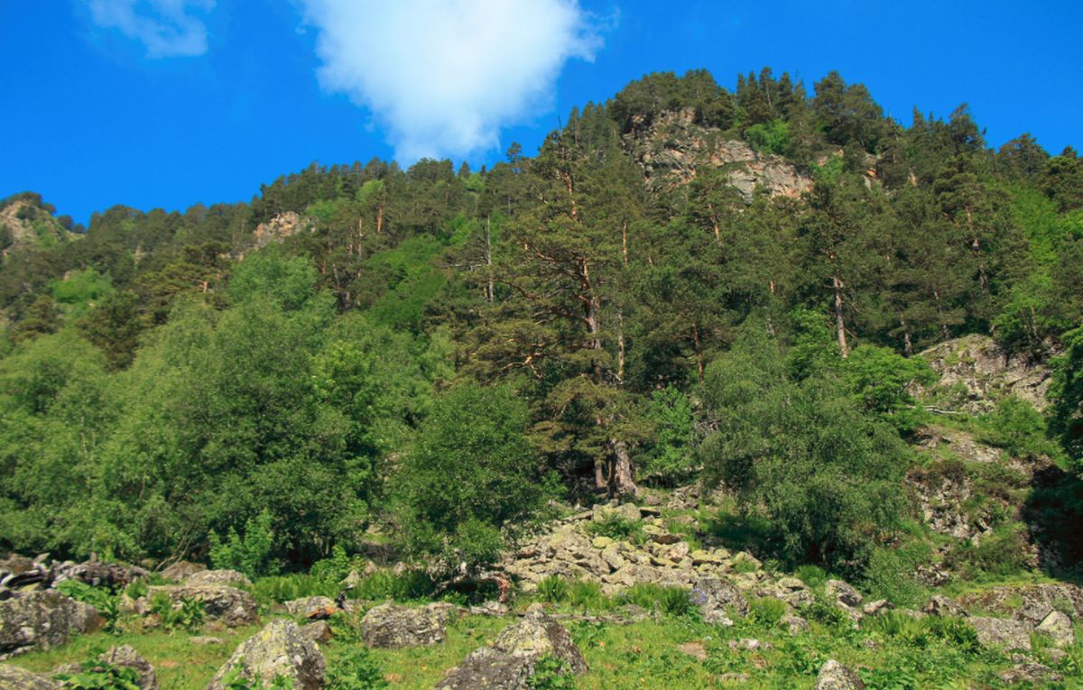 Церковная гора