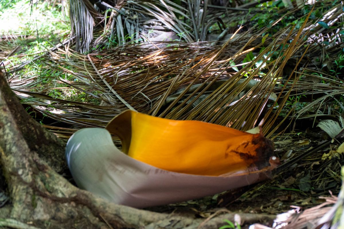 Гласис Ла Резерв Трейл