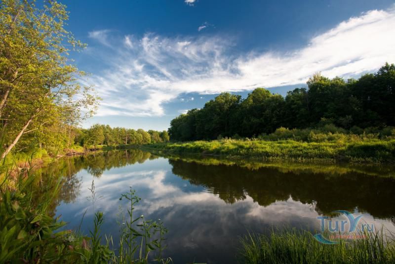 Заповедник Брянский лес