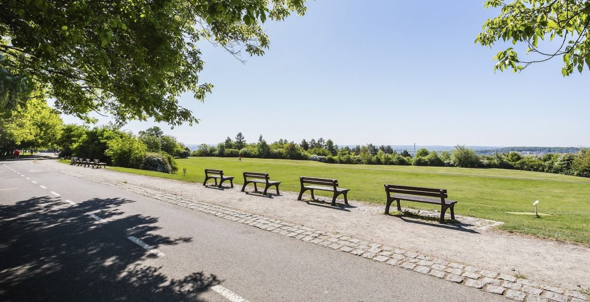 Парк Ладронка