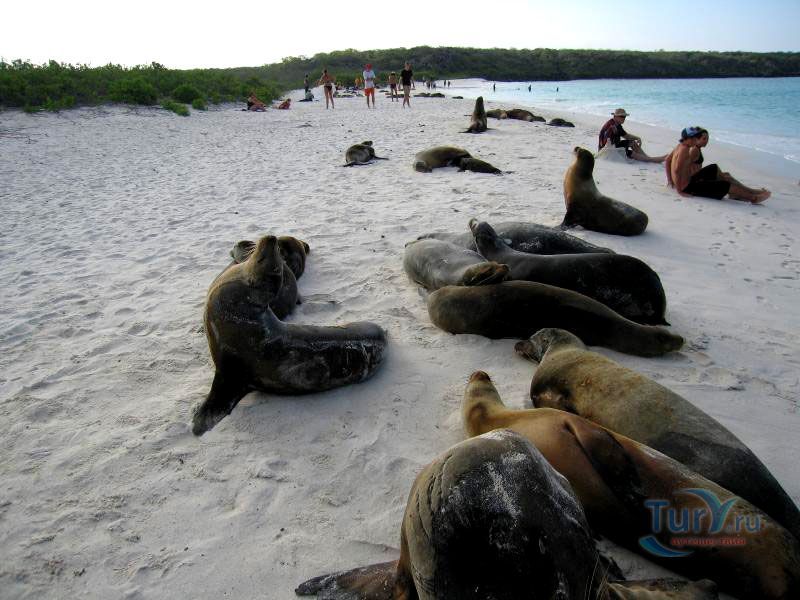 Залив Гарднер Бей (Gardner Bay)