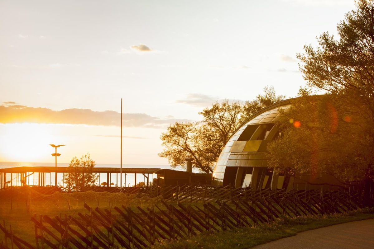 Прибрежный ресторан Paat («Лодка»)