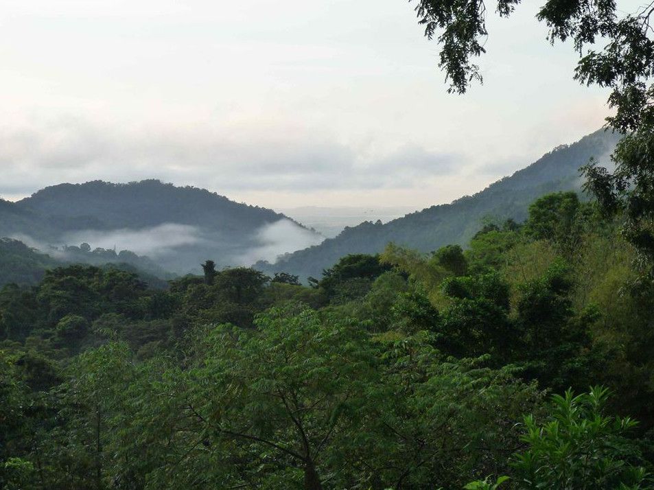 Природный Центр Эйса Райт (Asa Wright Nature Center)