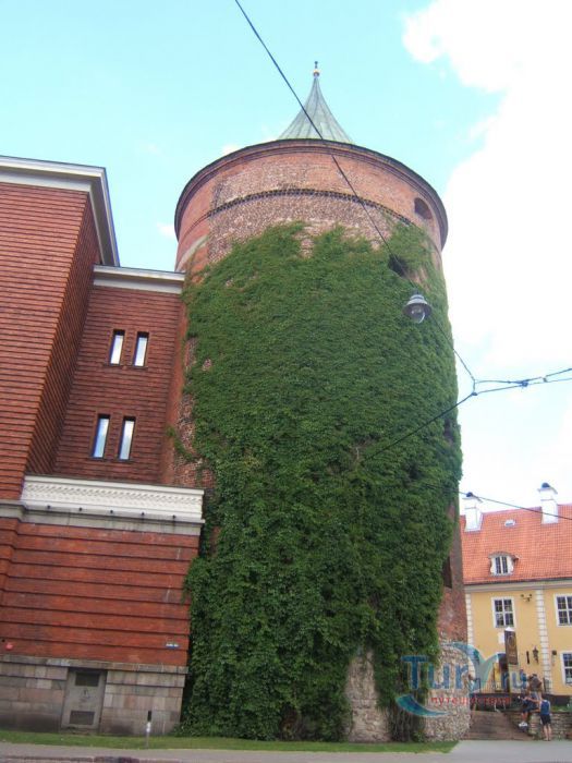 Пороховая башня