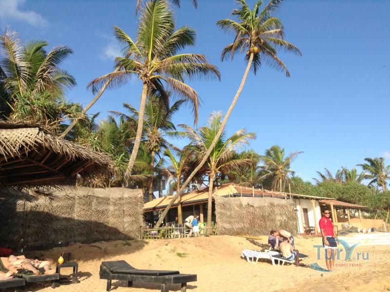 Пляж Наригама Бич в Хиккадуве