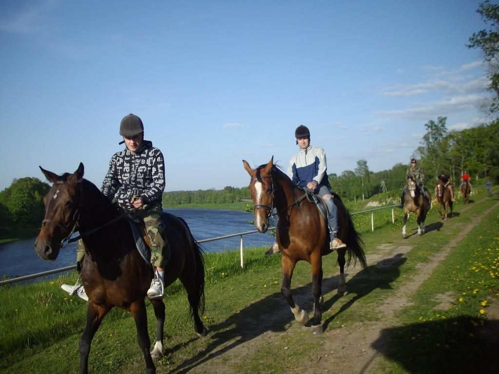 Конный завод Тори