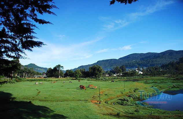 Пидуруталагала