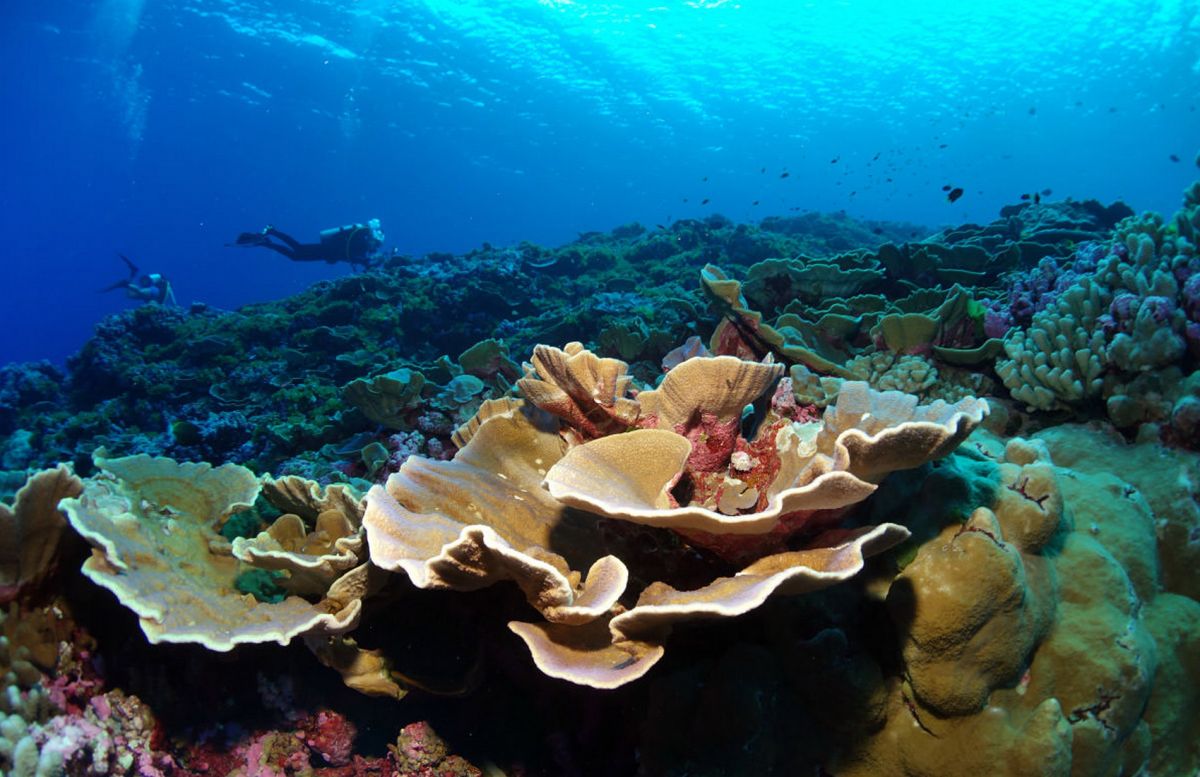 Национальный Морской Заповедник Фагателе Бэй