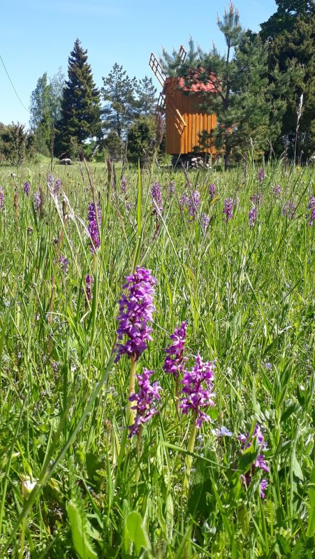 Дымовая сауна Хийевялья