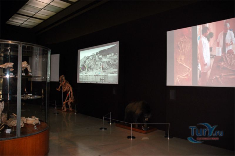 Музей доисторической антропологии