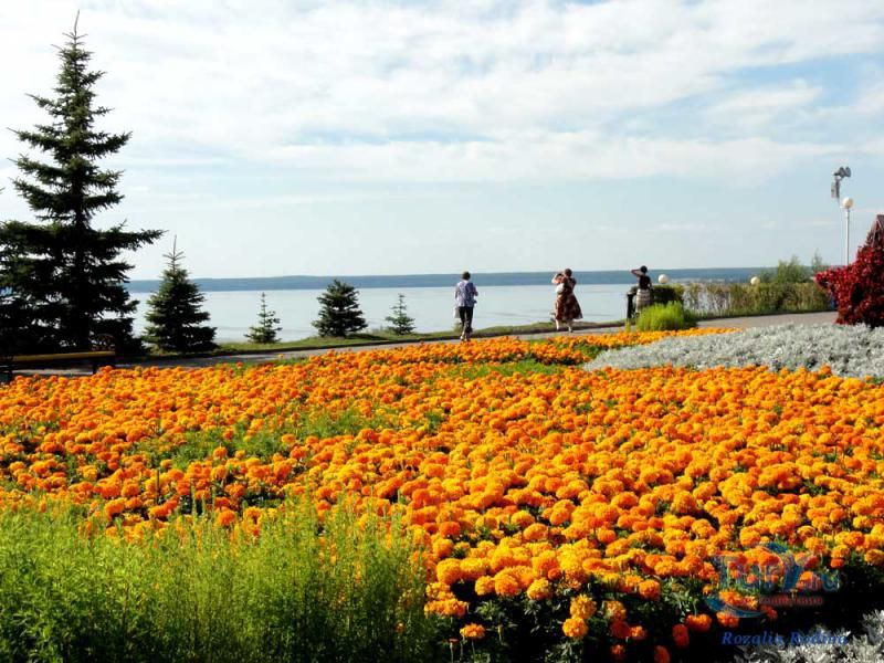 Смотровая площадка у Монумента Славы в Парке Победы