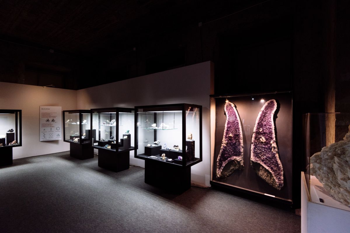 Национальный музей естественной истории и науки