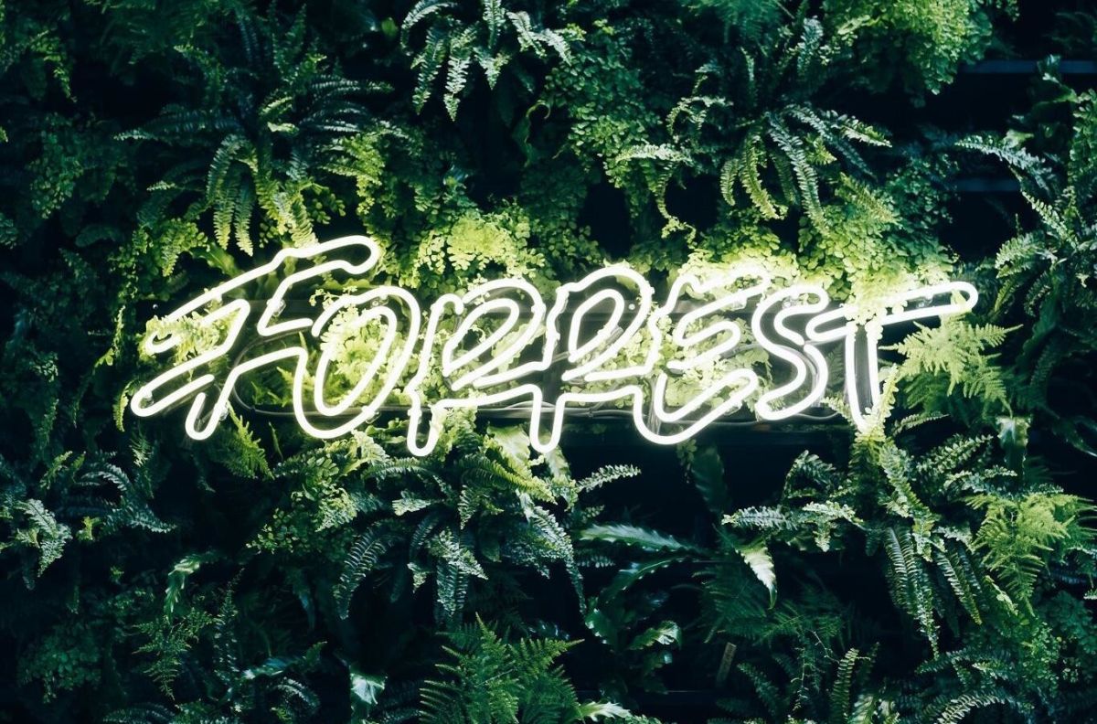 Forrest в Тарту