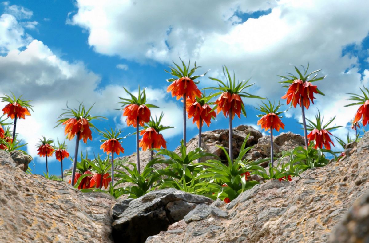 Национальный парк долины Мунзур