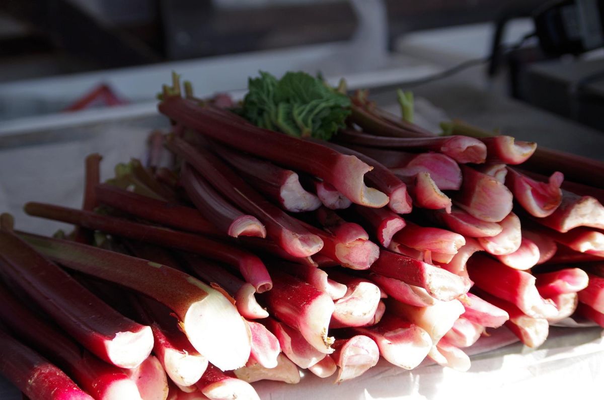 Центральный рынок Тарту