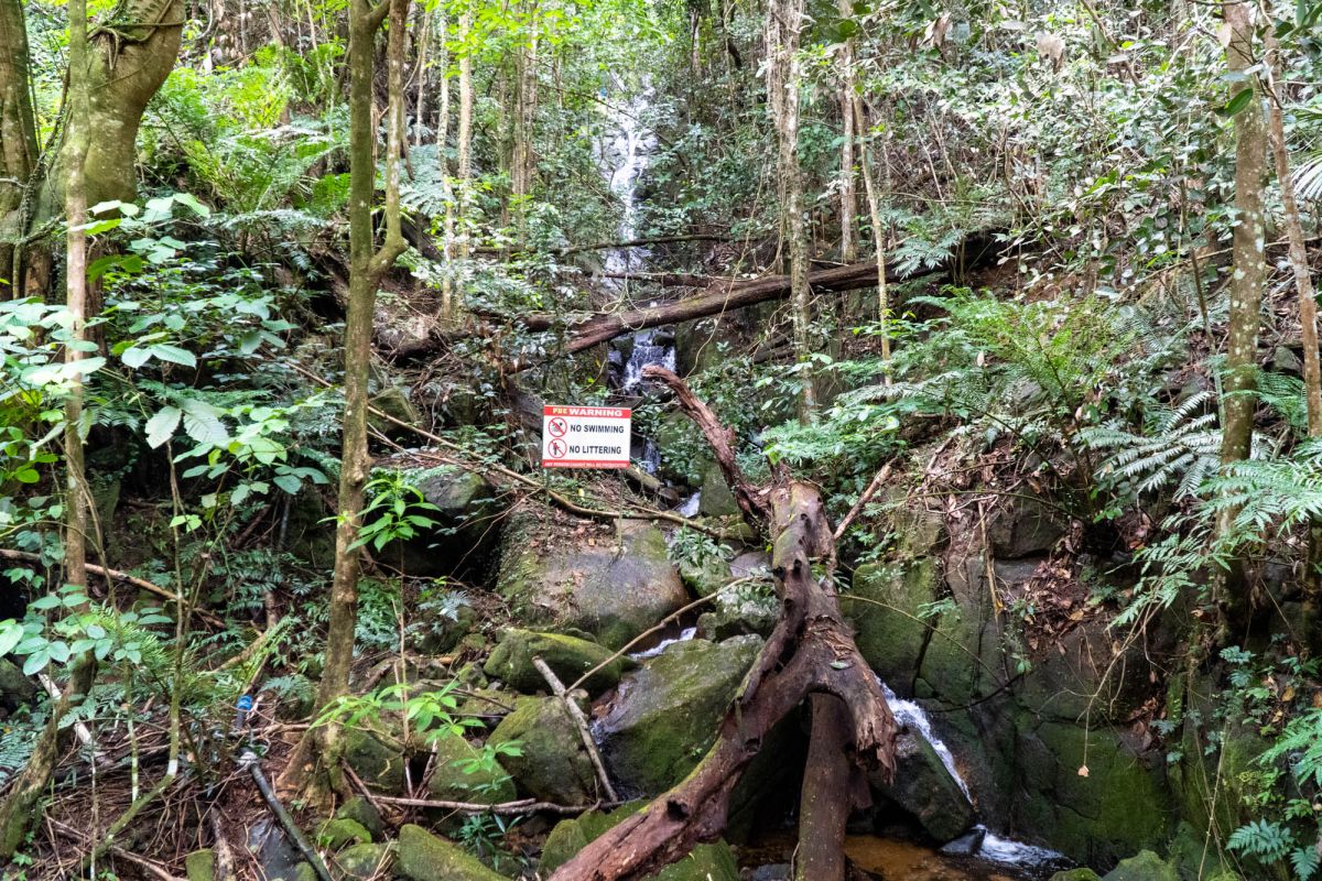Национальный парк Морн Сейшелуа