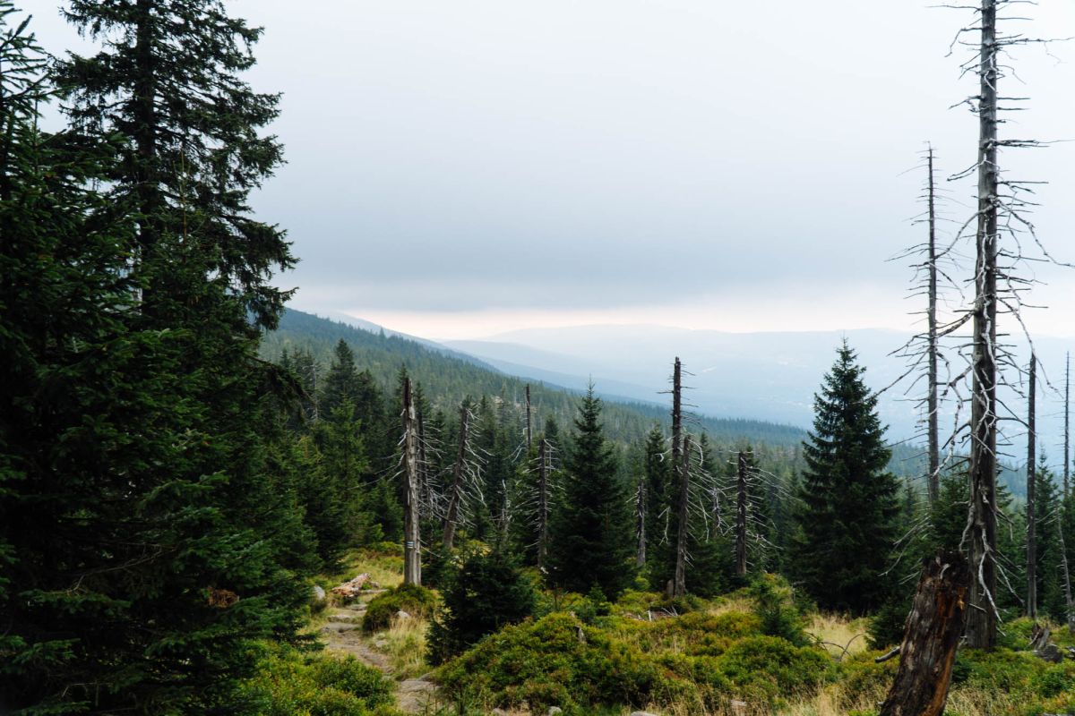 Карконошеский национальный парк