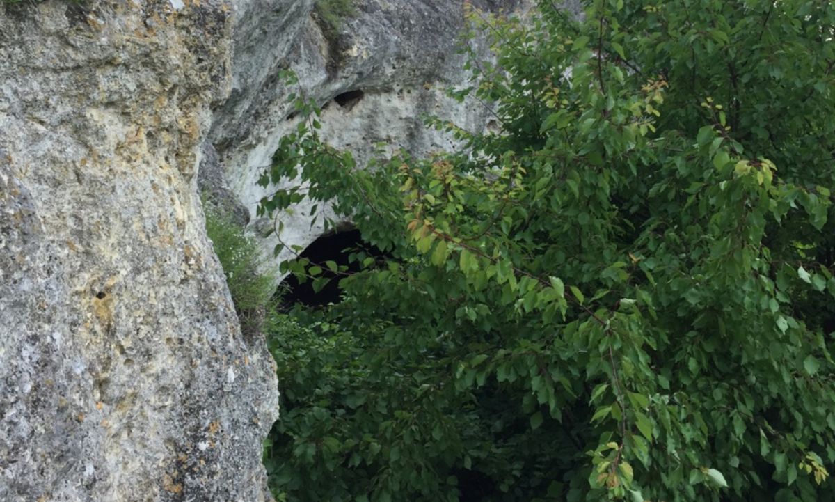 Волчья пещера (Бару-Тешик)