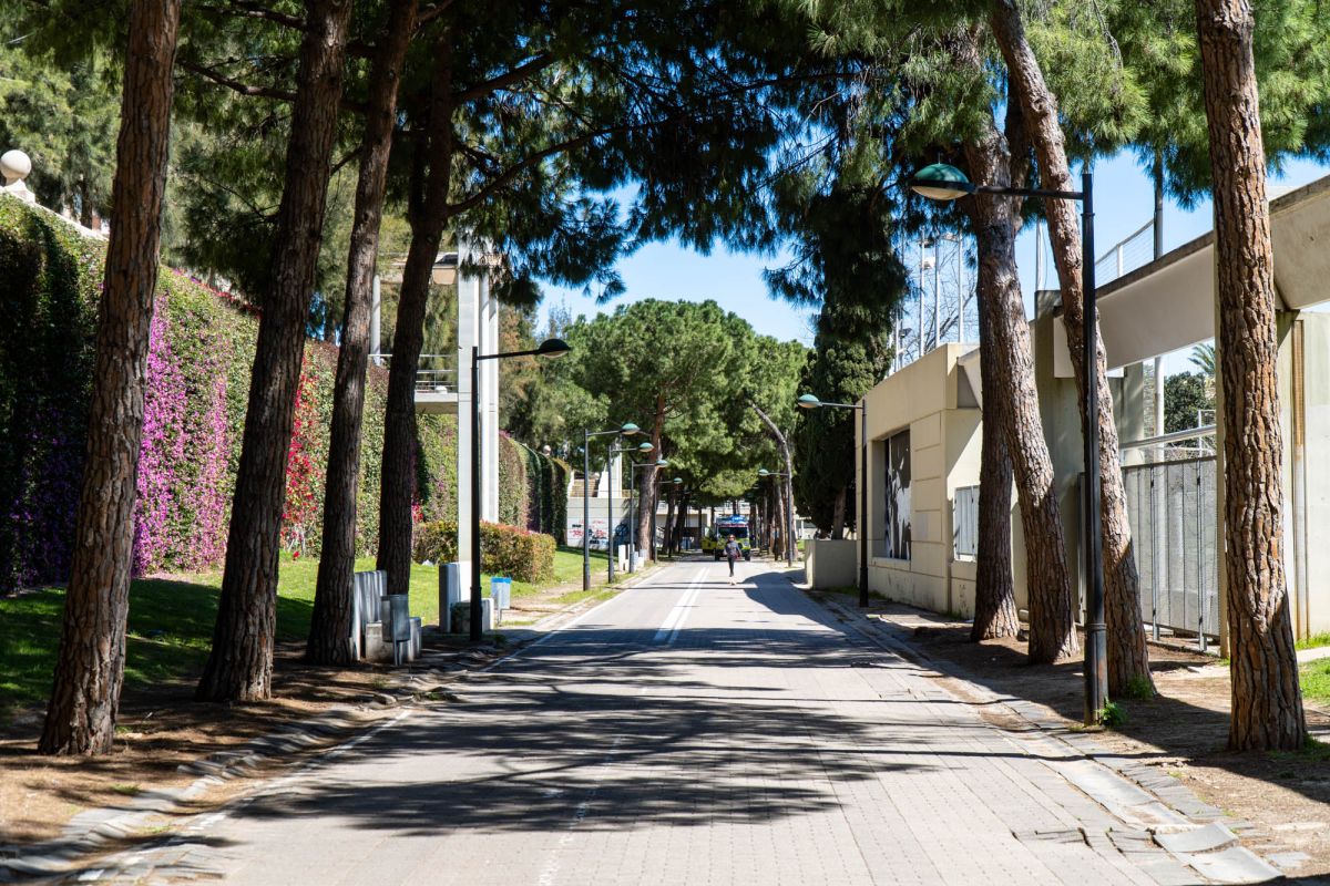 Сад Турия Валенсия. Парк Турия