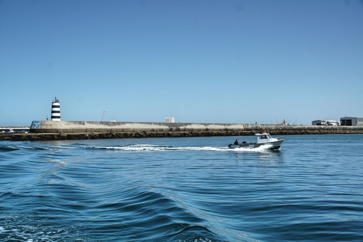 Гавань Пениши