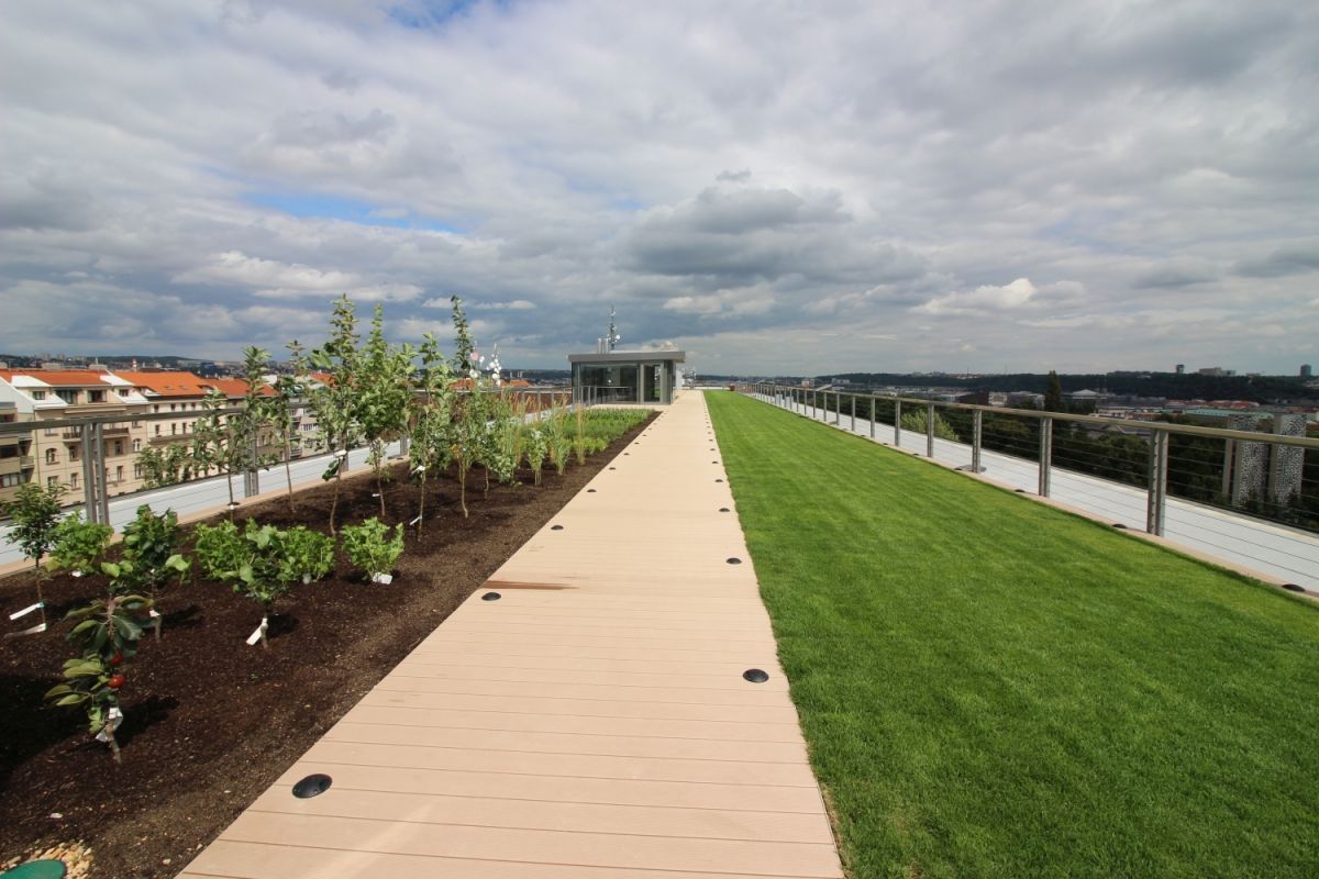 Панорамная терраса с садом на крыше Национального музея земледелия