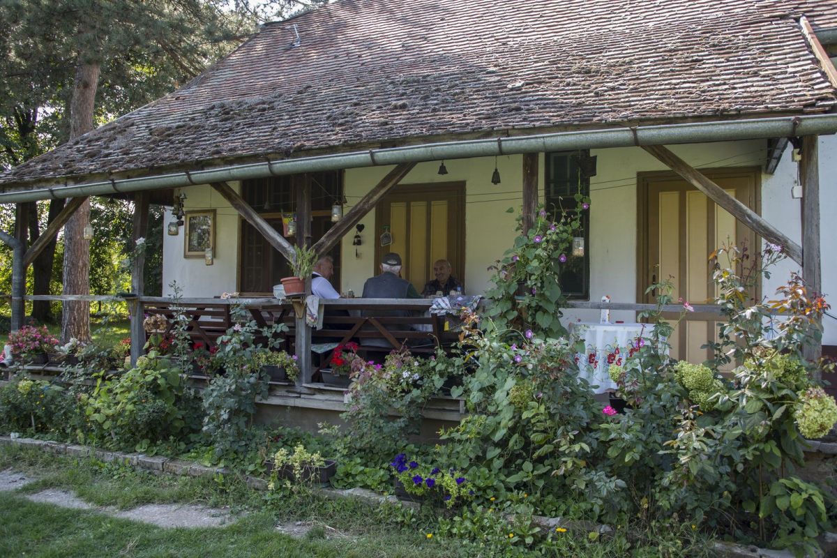 Район Бегеч