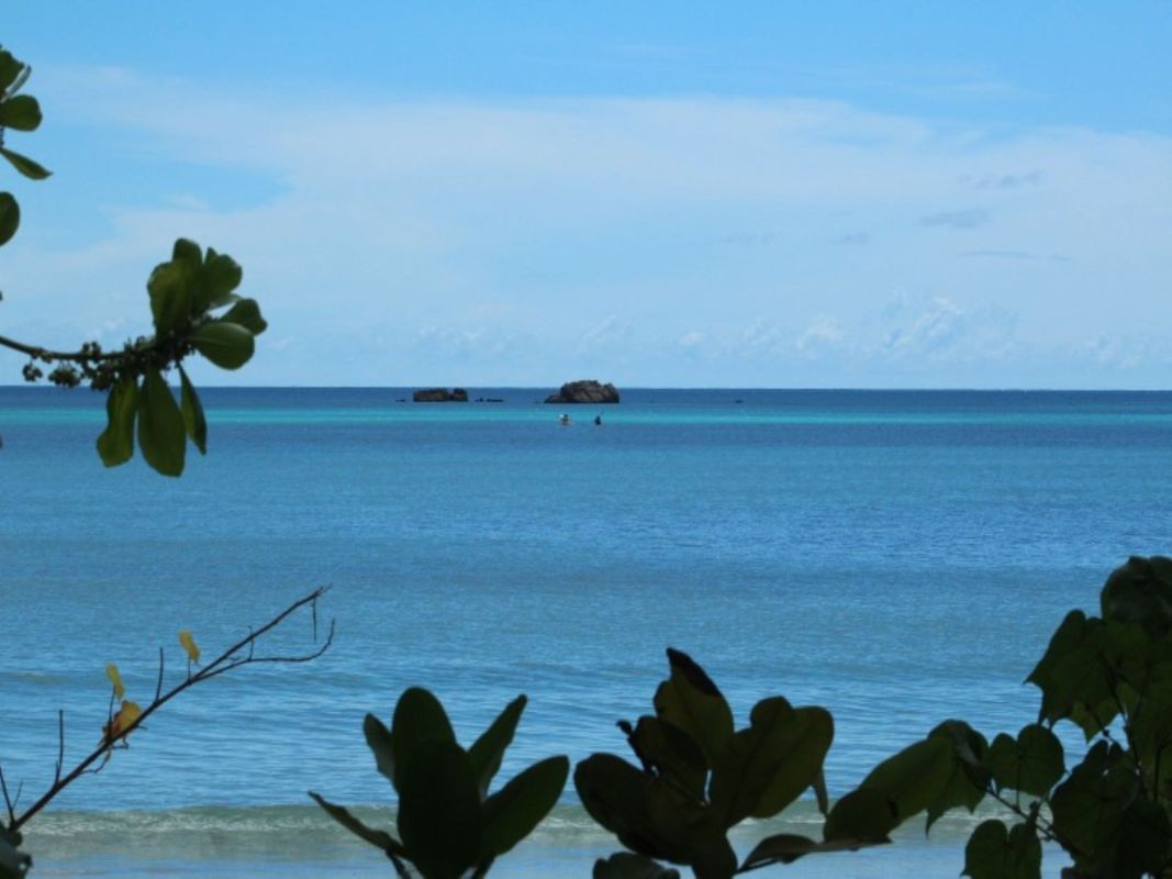 Heliconia Grove Self- Catering Villas