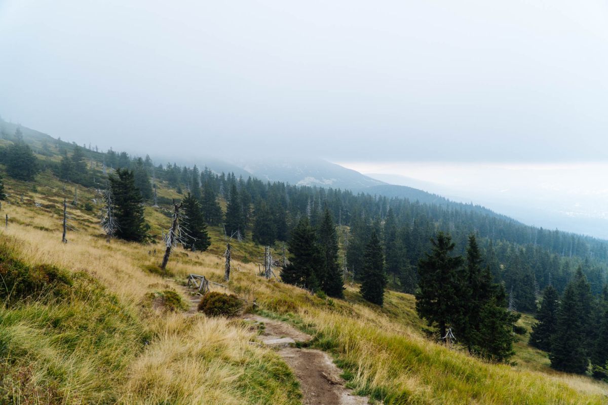 Карконошеский национальный парк