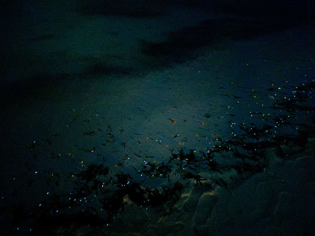 Маафуши Планктон Бич