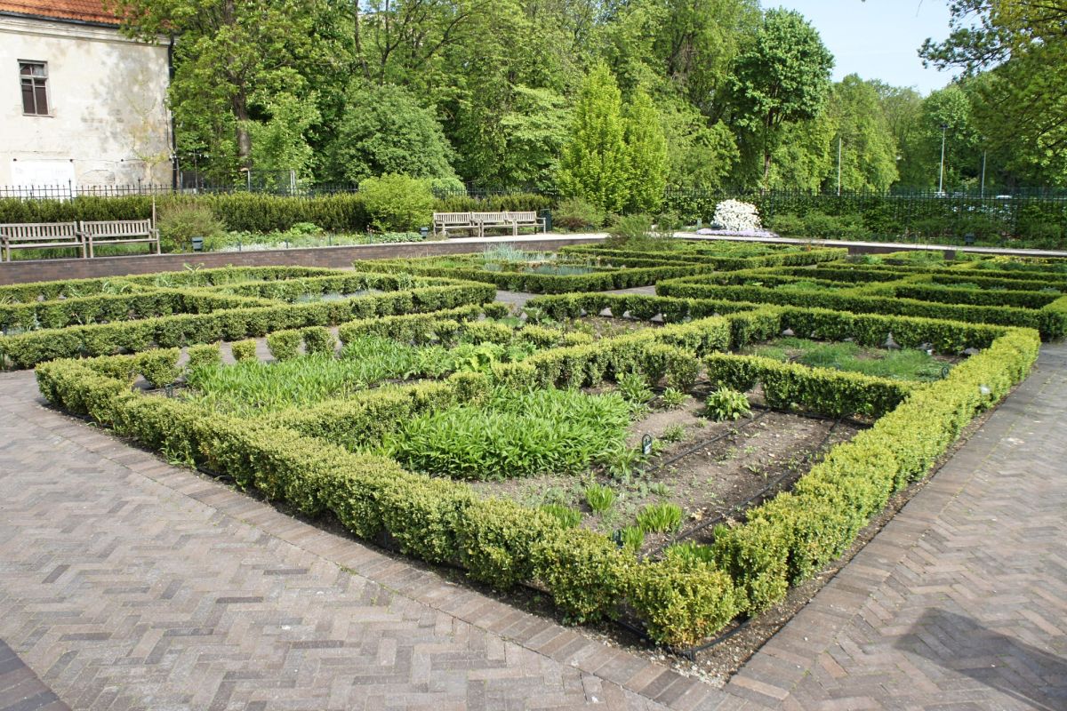 Бернардинский сад (Сад Bernardinų)