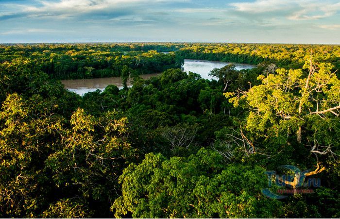 Национальный Заповедник Тамбопата