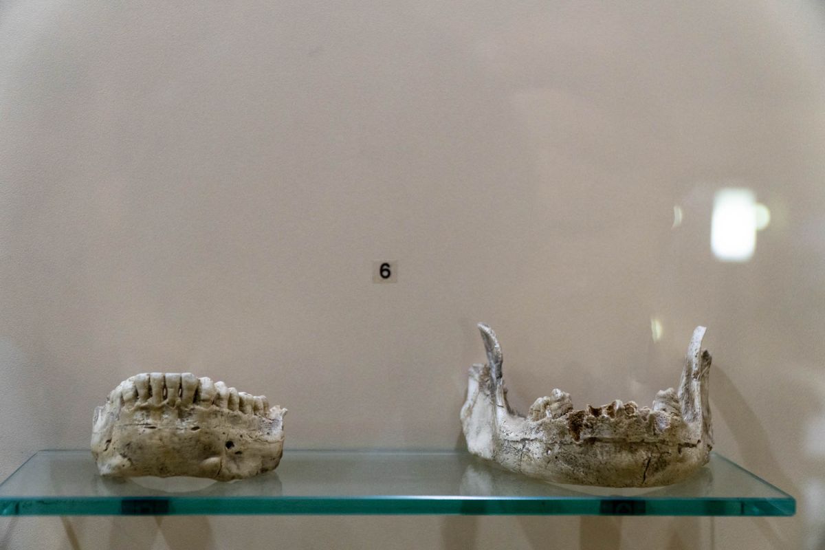 Батумский Археологический Музей