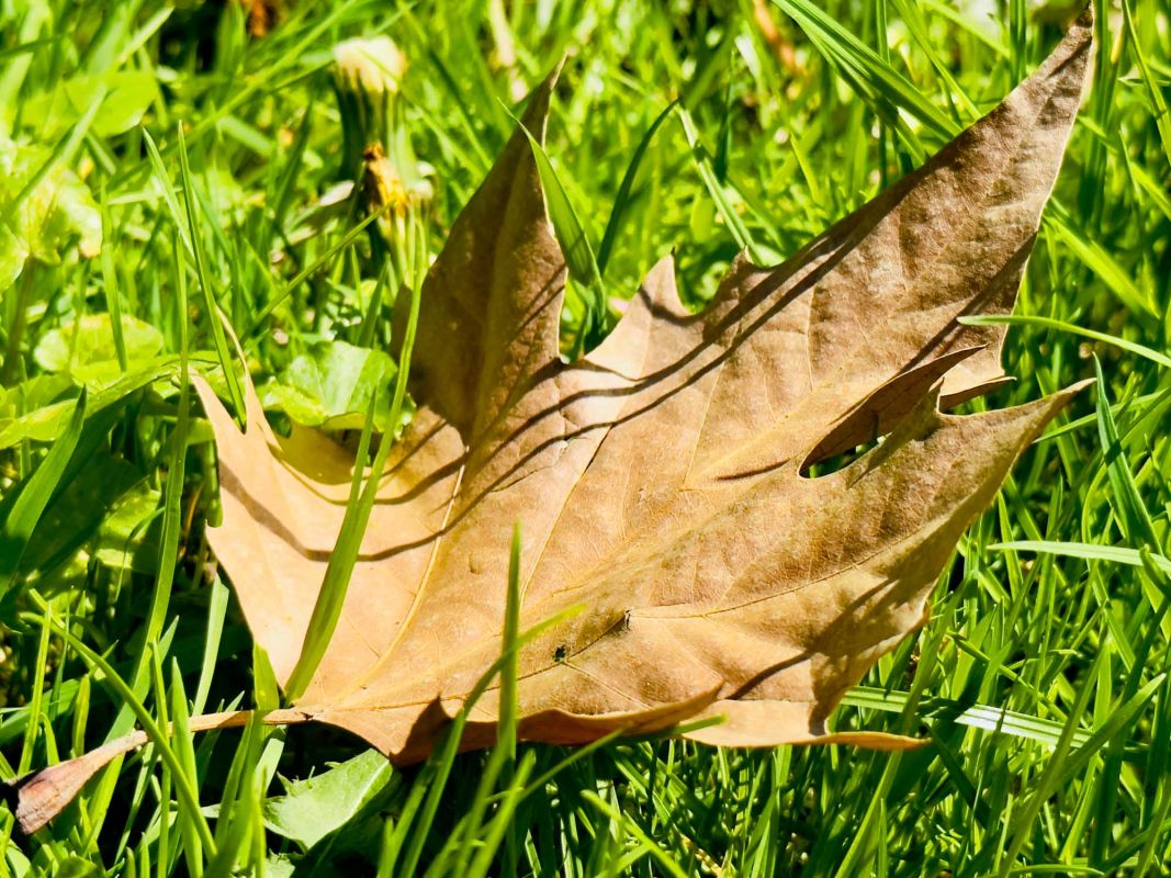 Парк Юлиуша Словацкого