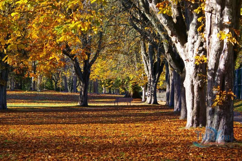 Стэнли-парк