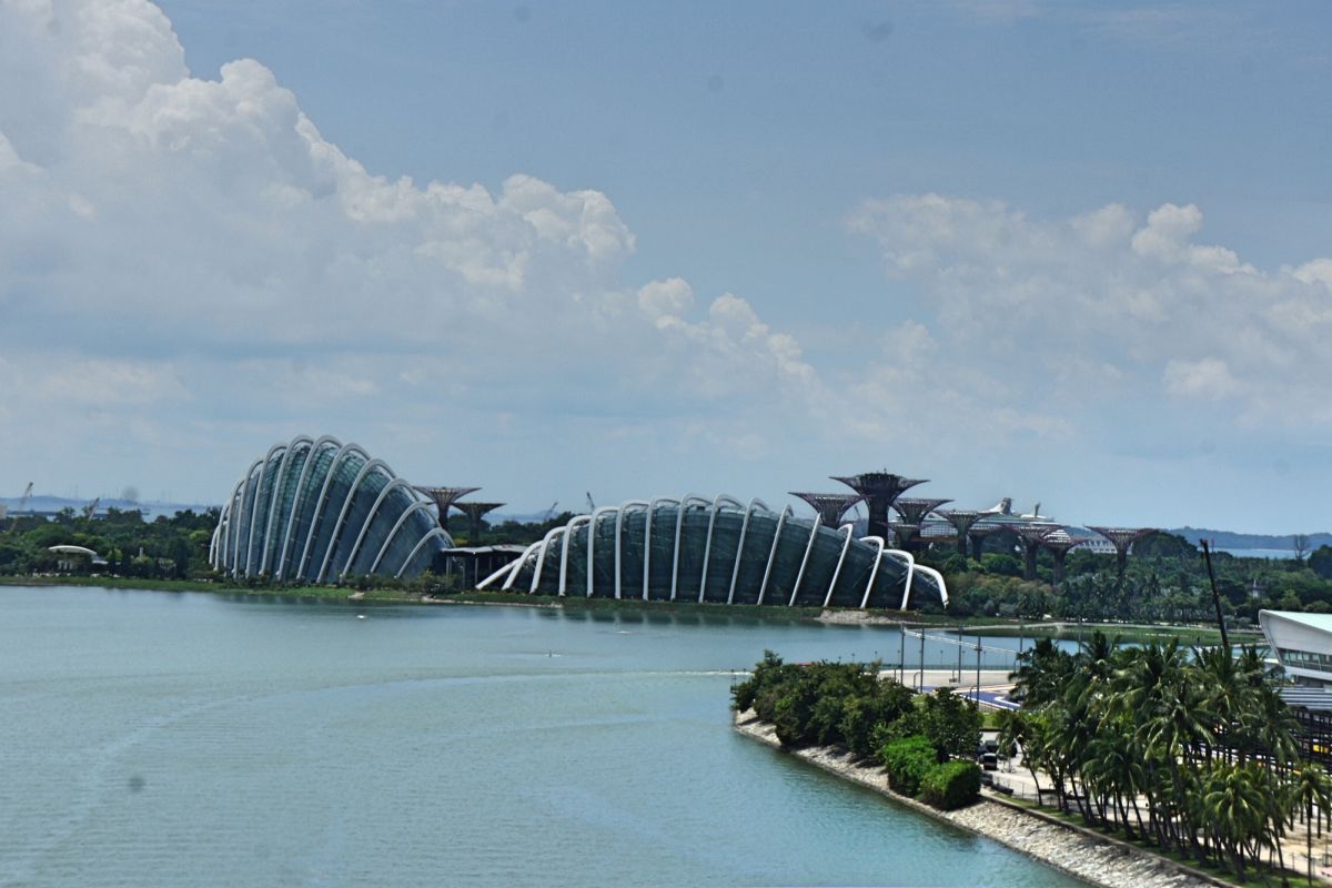 Сады у Залива