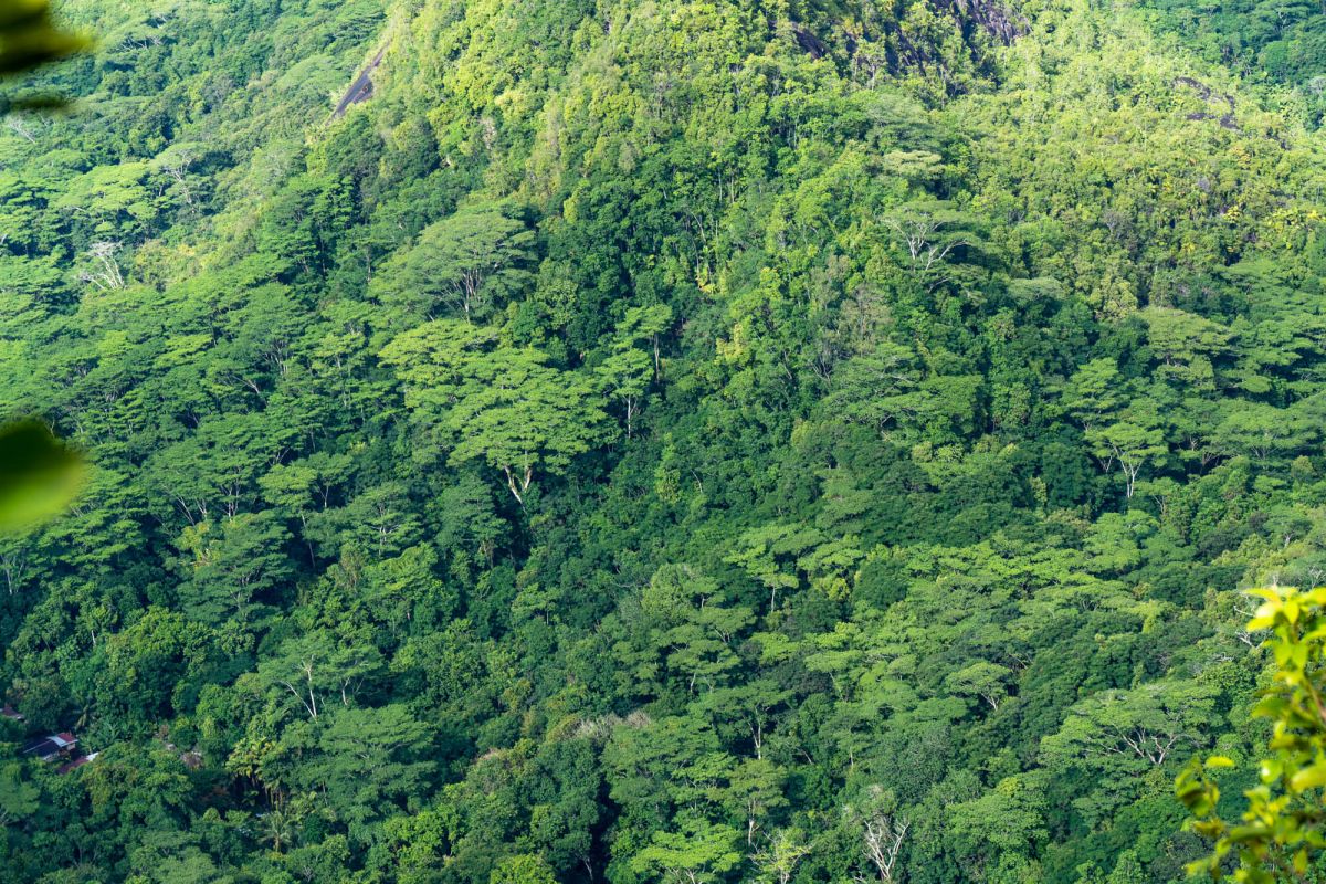 Смотровая площадка Морн Блан