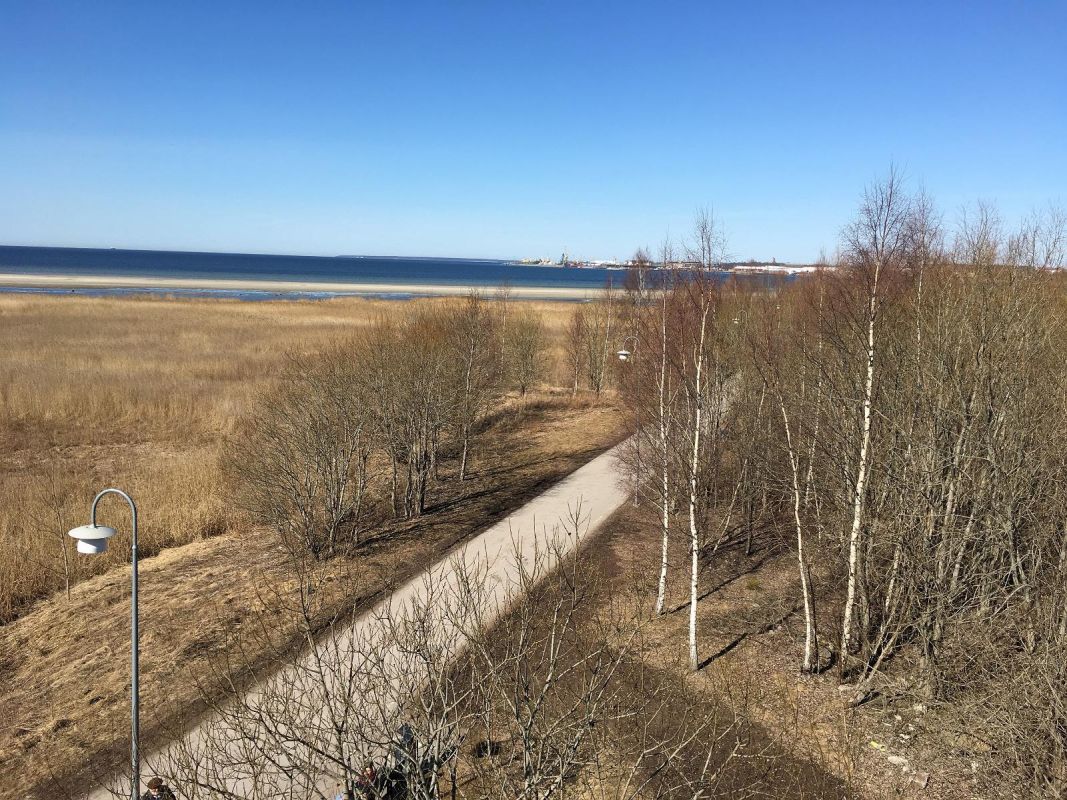 Смотровая вышка для наблюдения за птицами в Мустйыэ