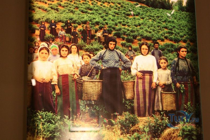 Батумский Технологический музей братьев Нобель