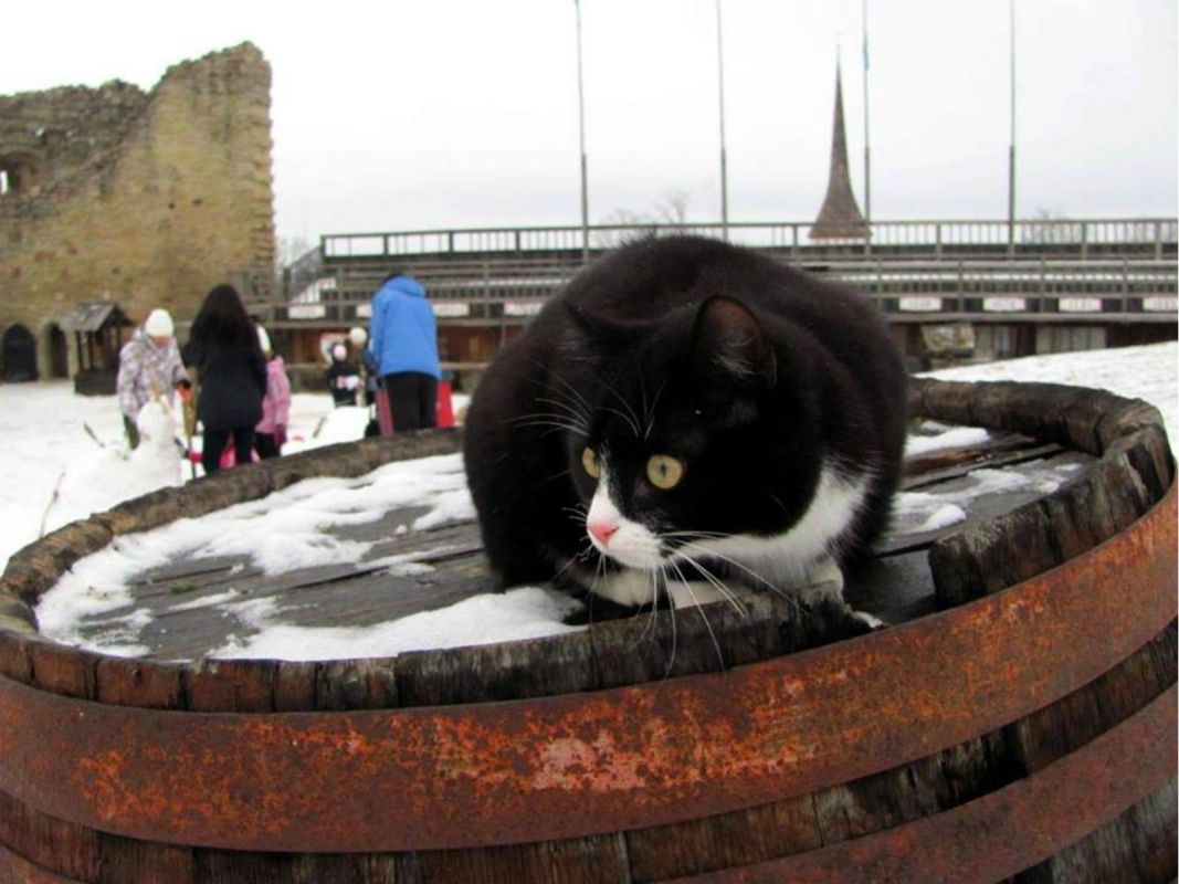 Замок Раквере