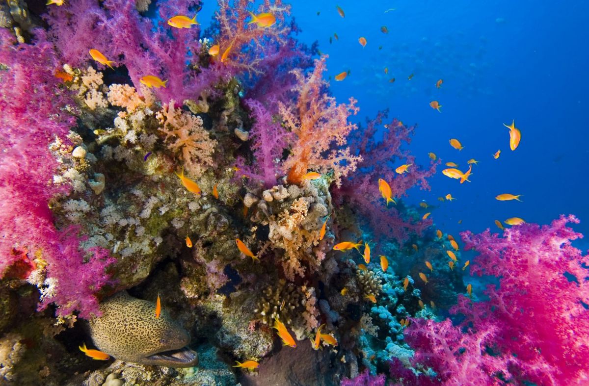 Острова / Семь Пиннаклей