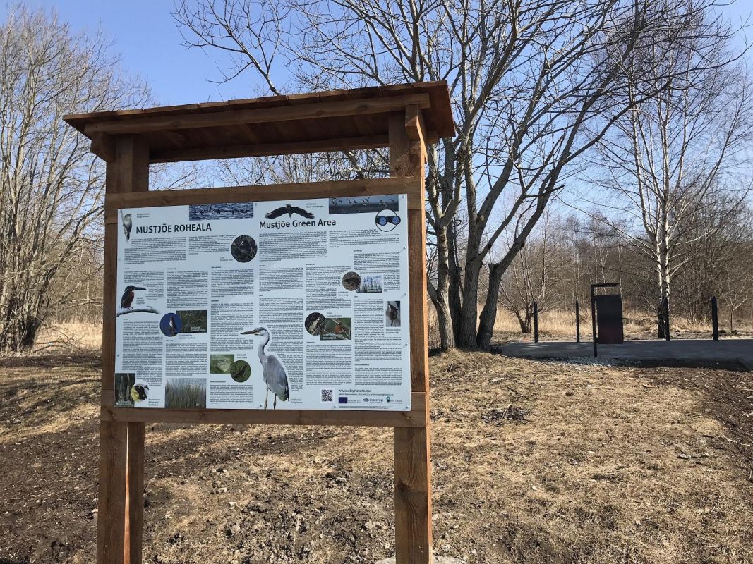 Смотровая вышка для наблюдения за птицами в Мустйыэ