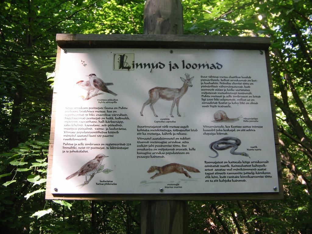 Национальный парк и природный центр Матсалу