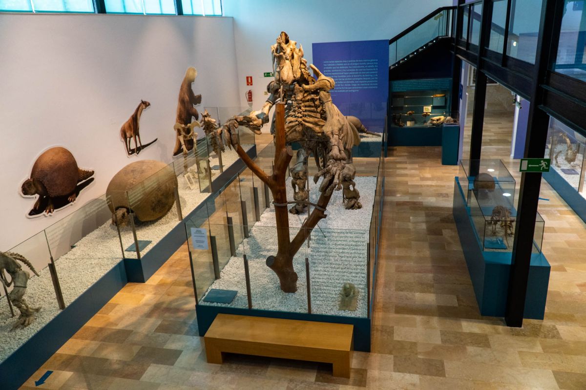 Музей естественных наук