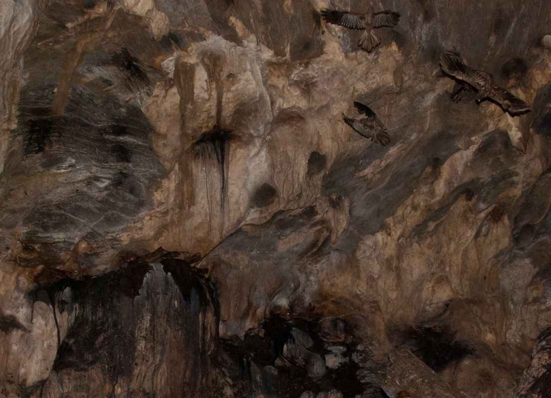 Пещеры Эрайпо