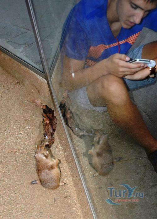 Барселонский зоопарк