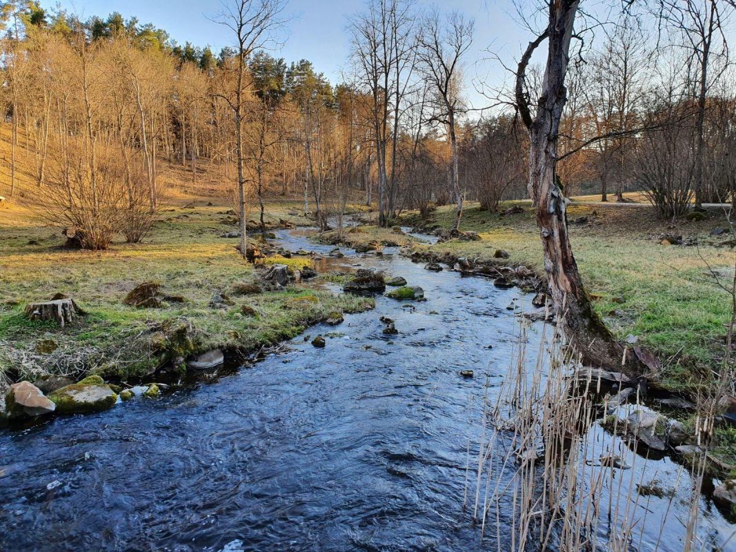 Зона отдыха в Ууэвески