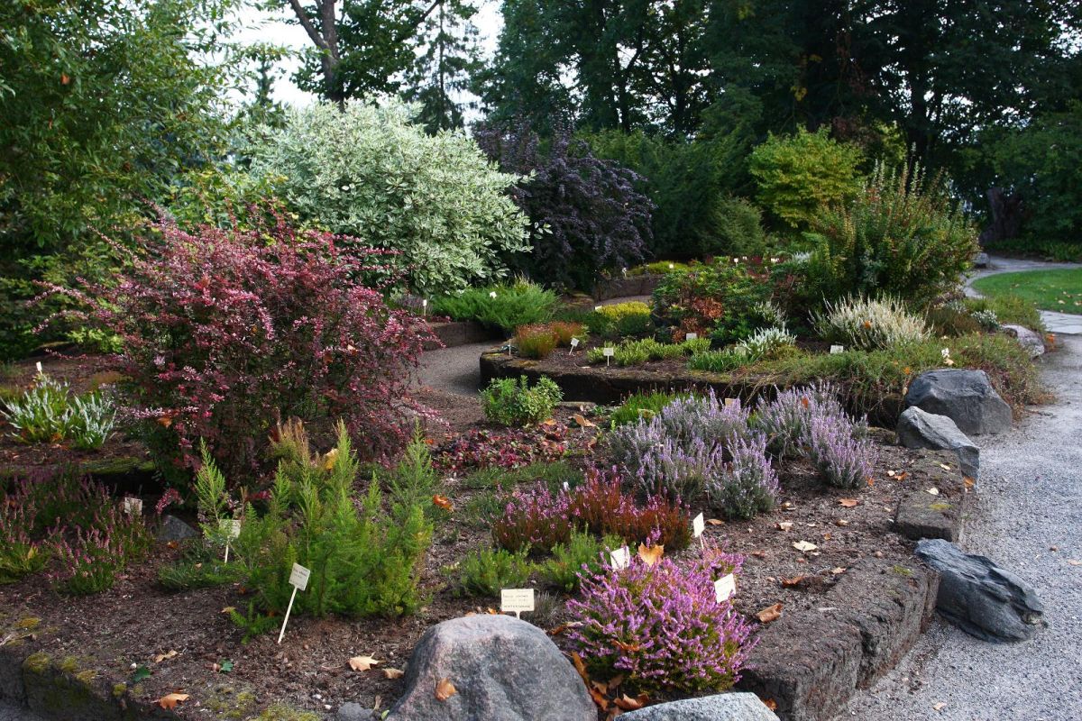 Ботанический сад Тартуского университета