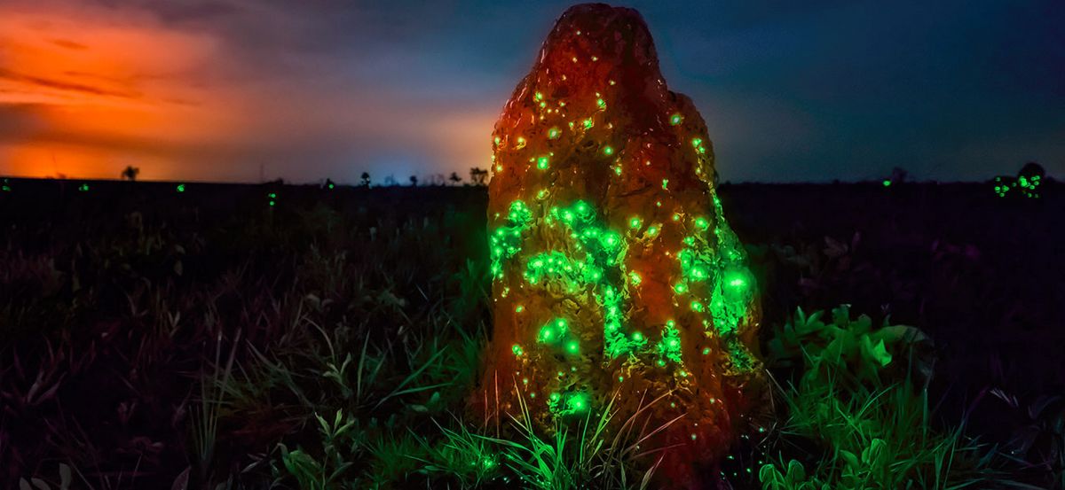 Национальный парк Эмас