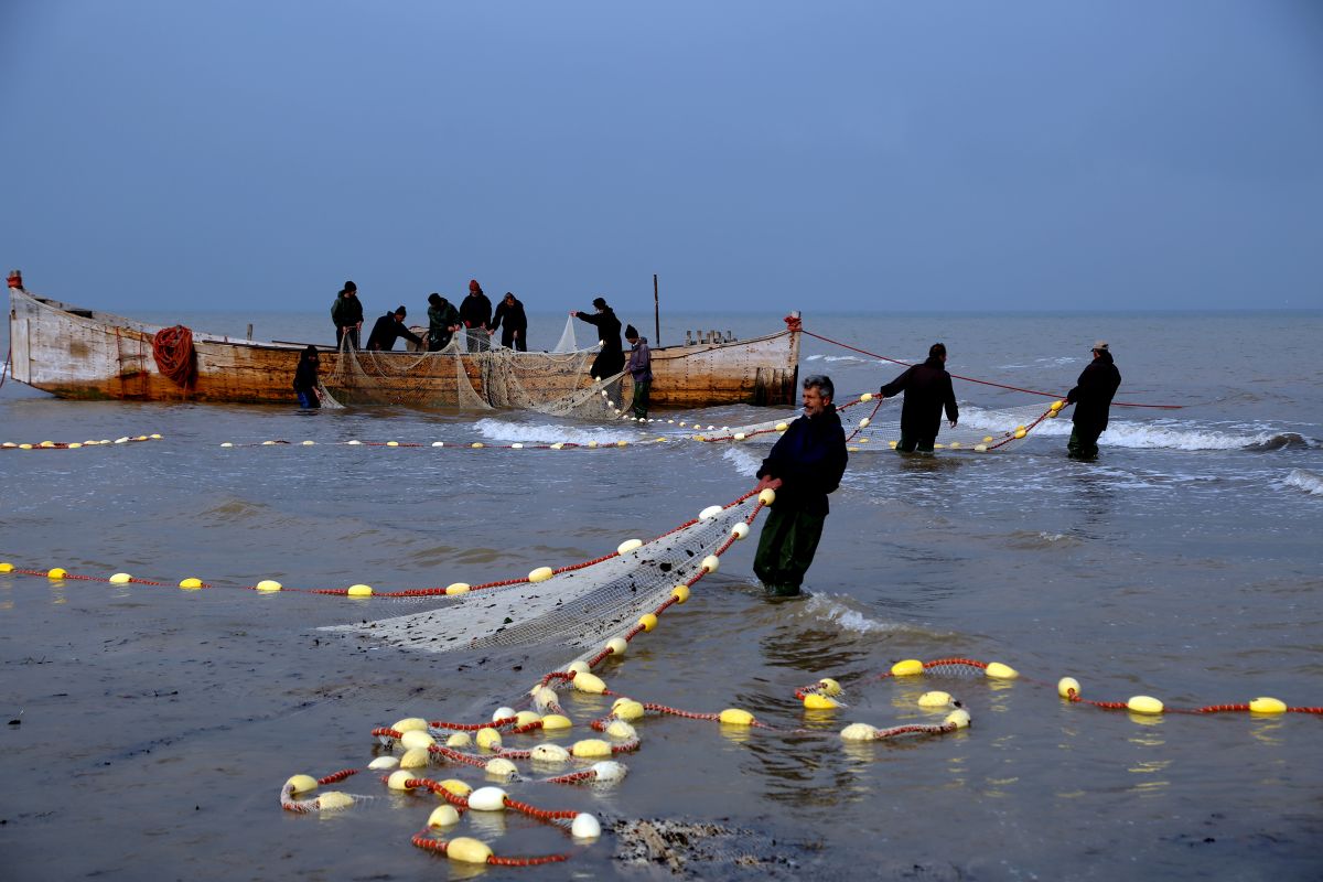 Бендер-Энзели