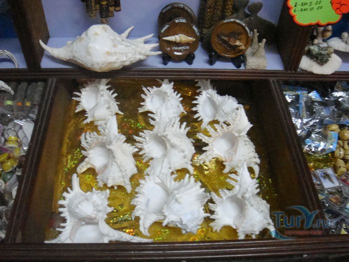 Подводный мир Лангкави